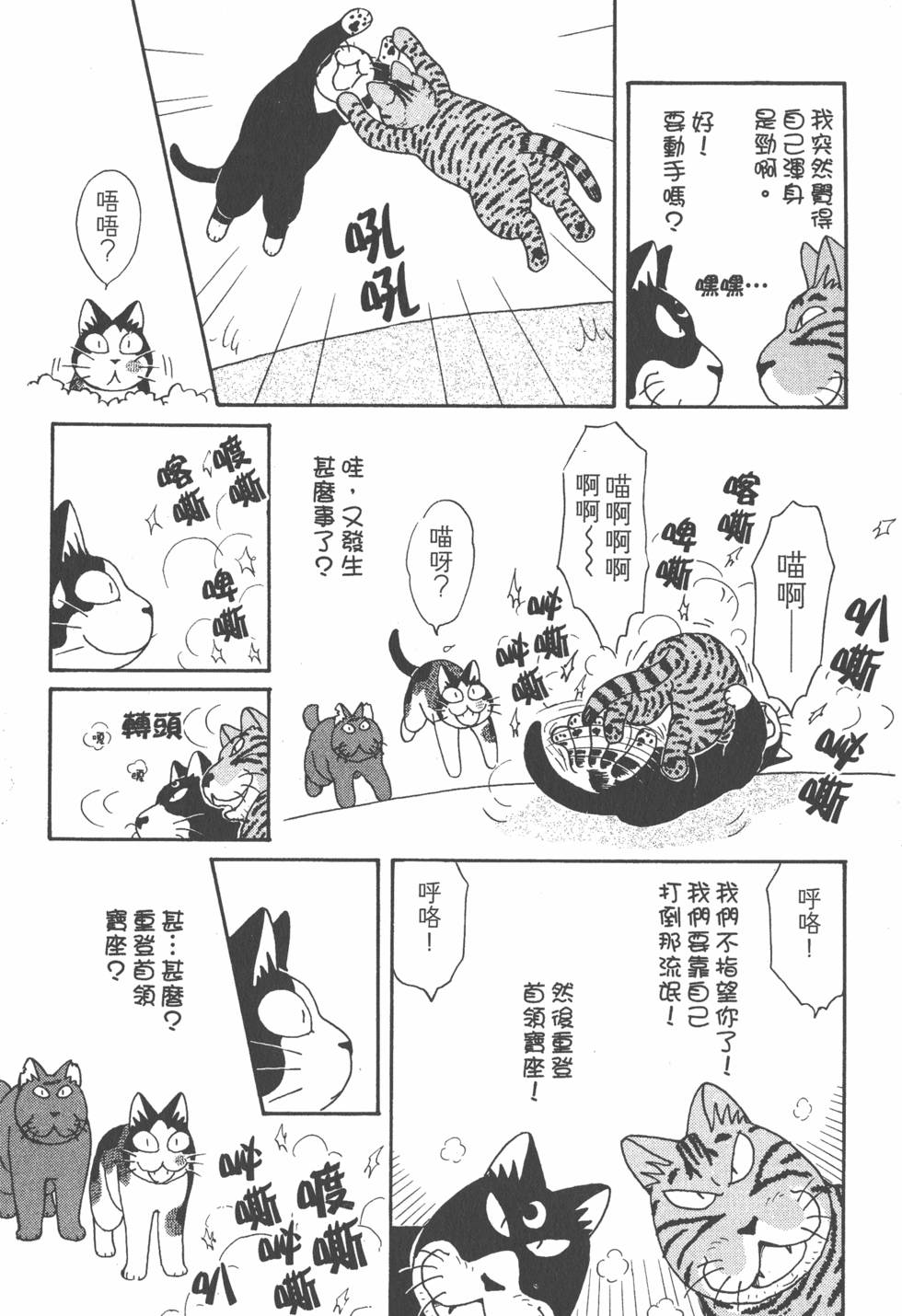 第206页