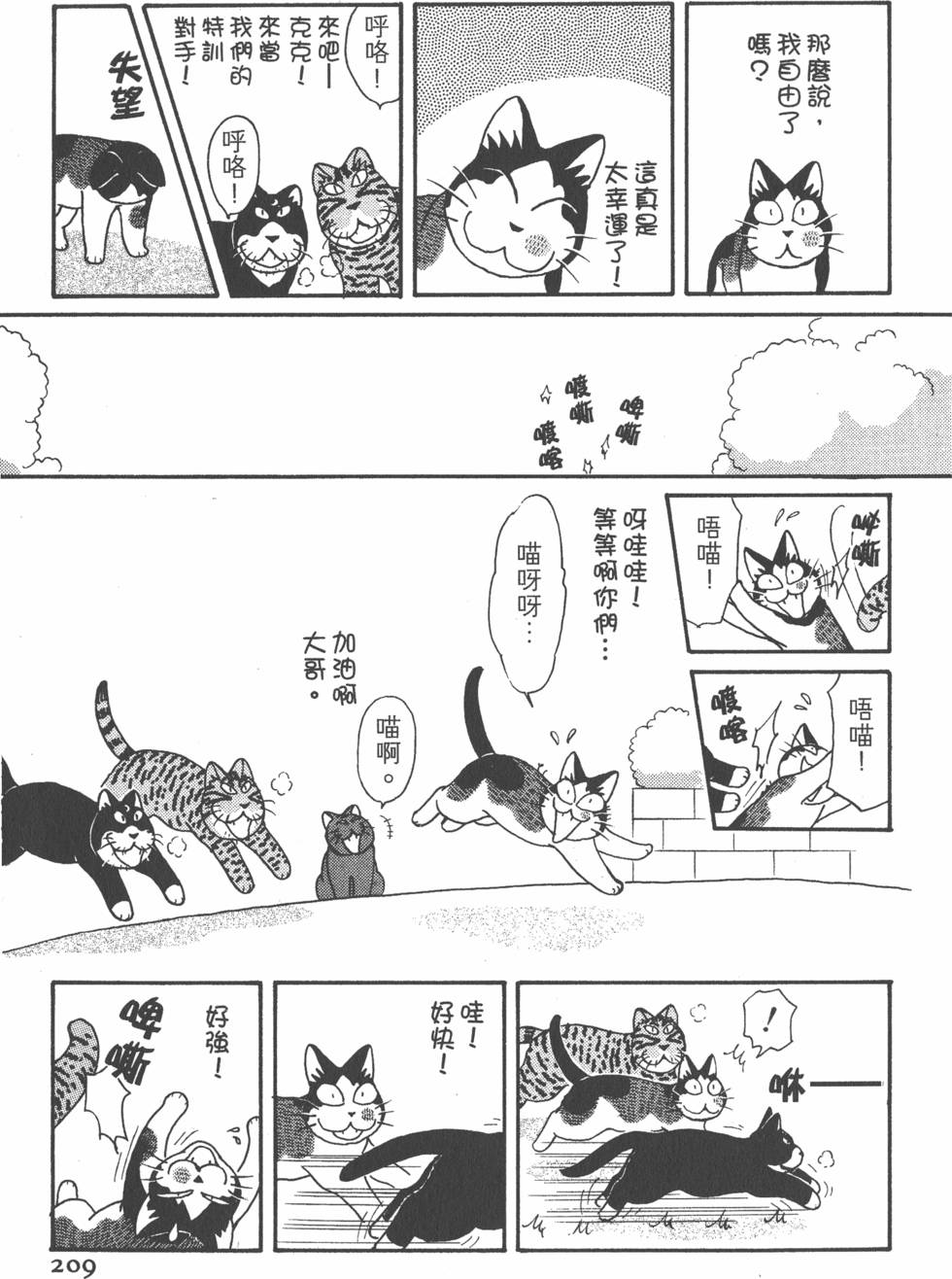 第207页