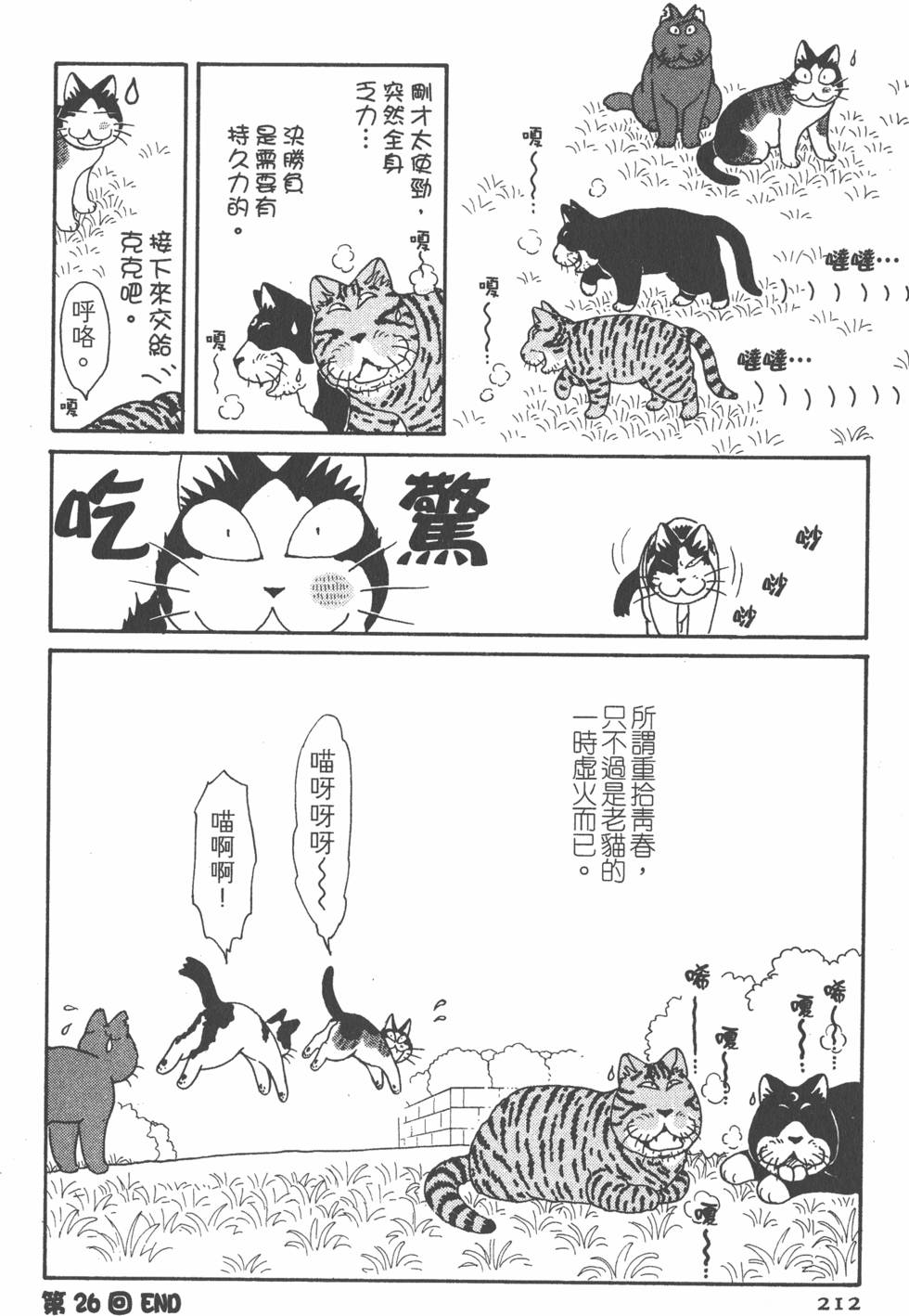 第210页