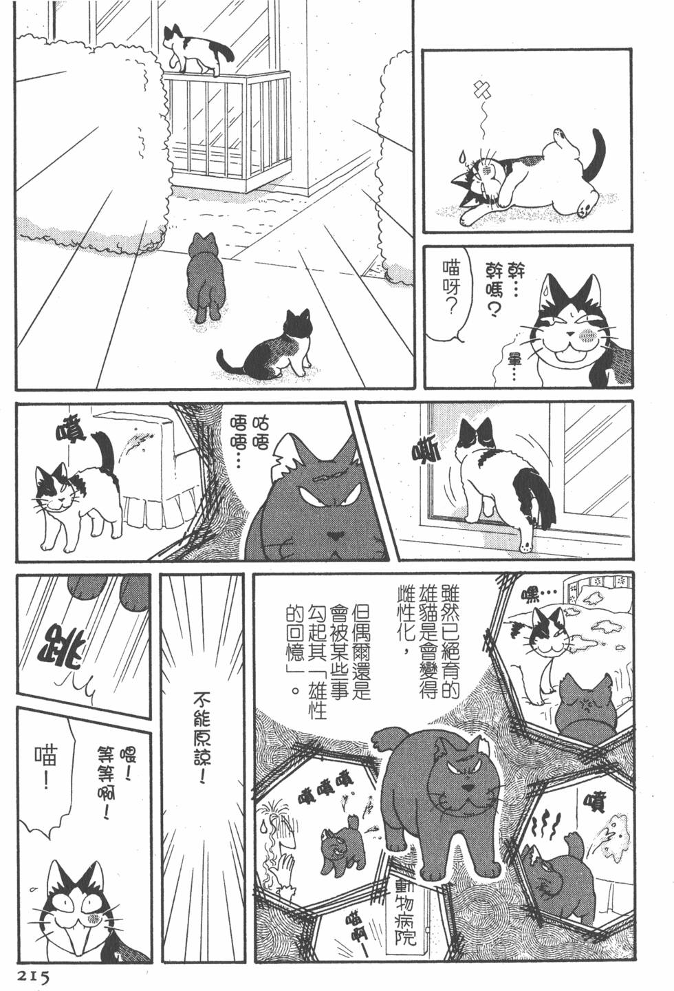 第213页