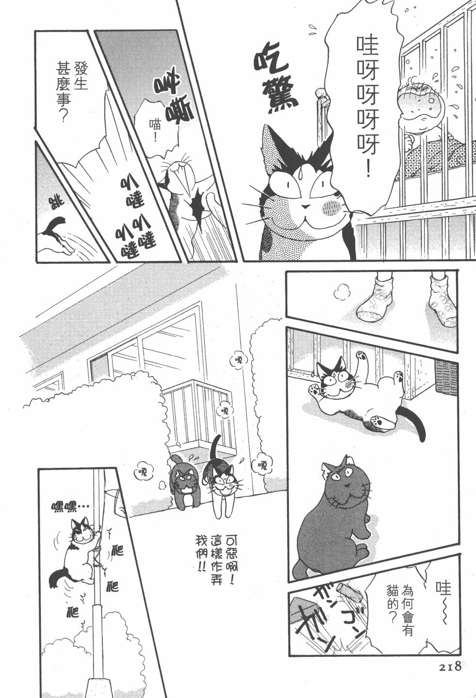 第216页