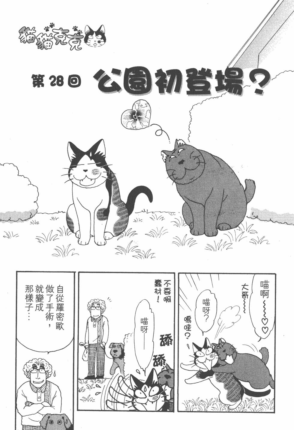 第219页
