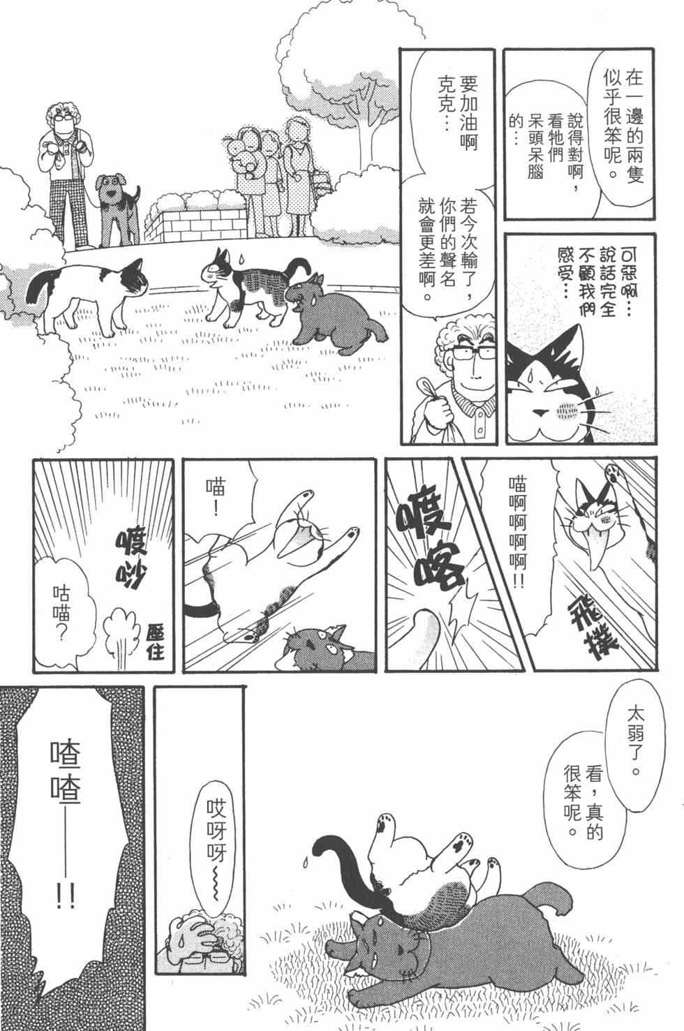 第223页