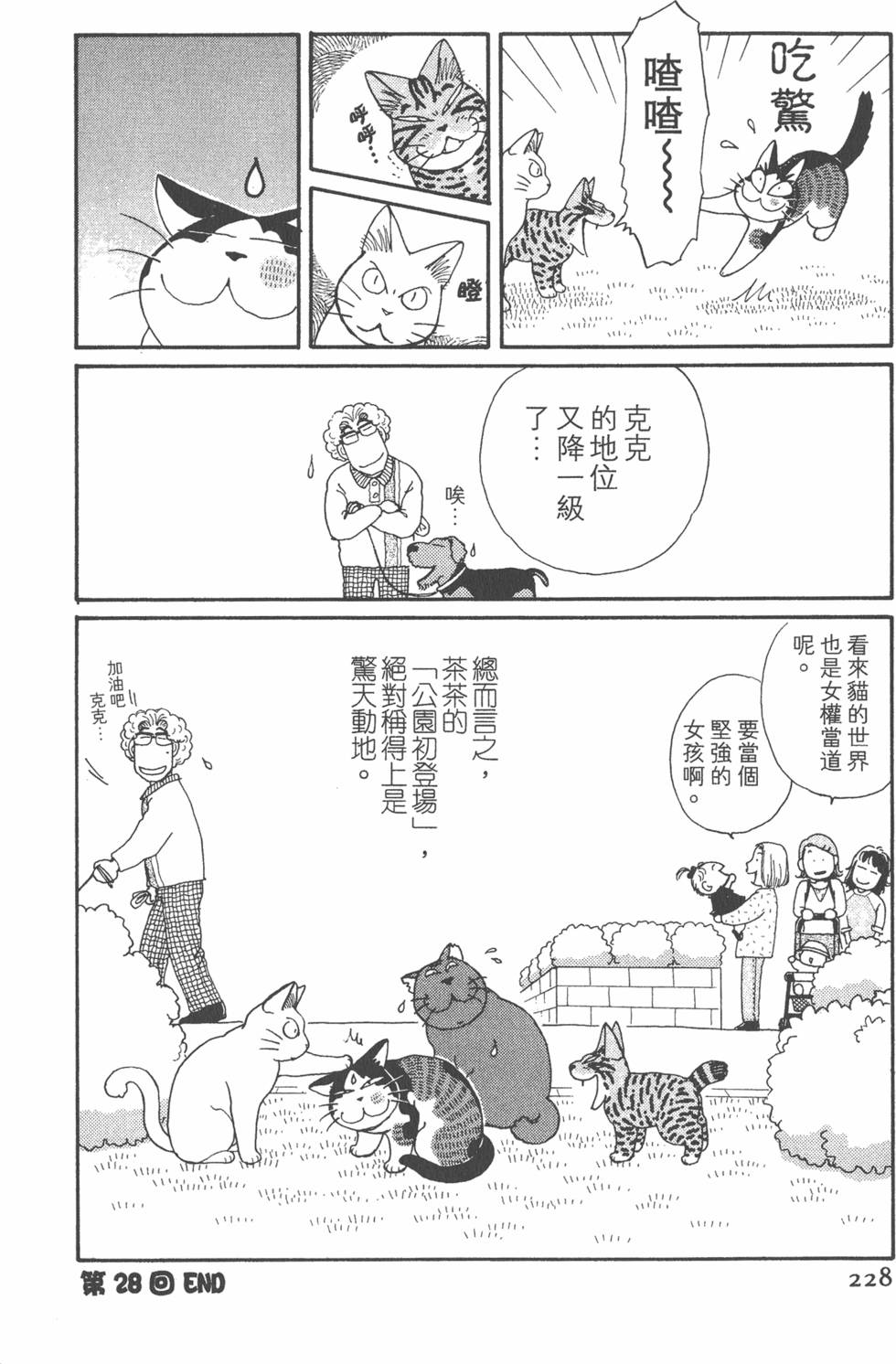 第226页