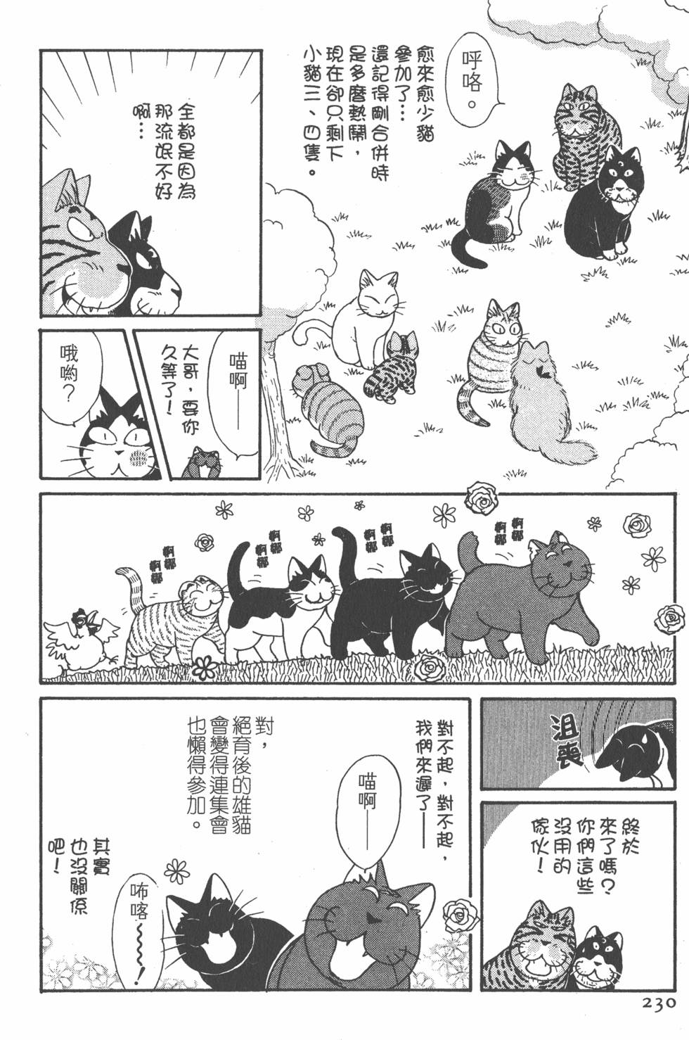 第228页