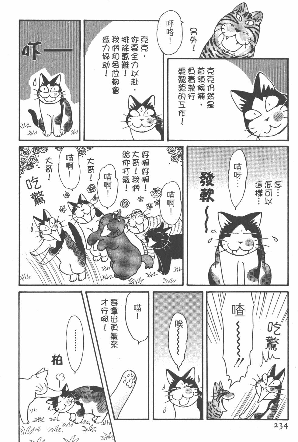 第232页