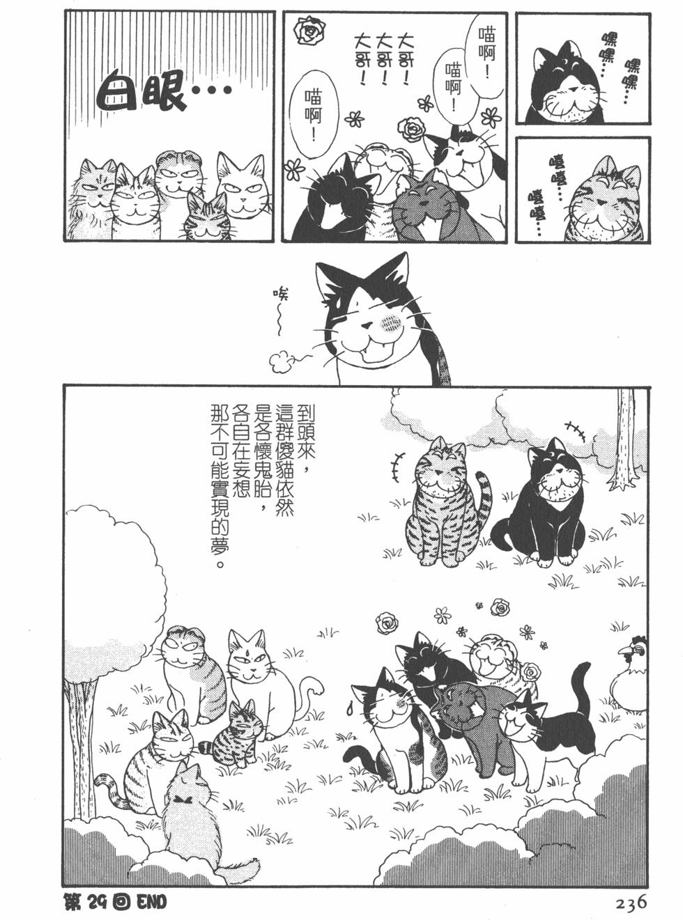 第234页