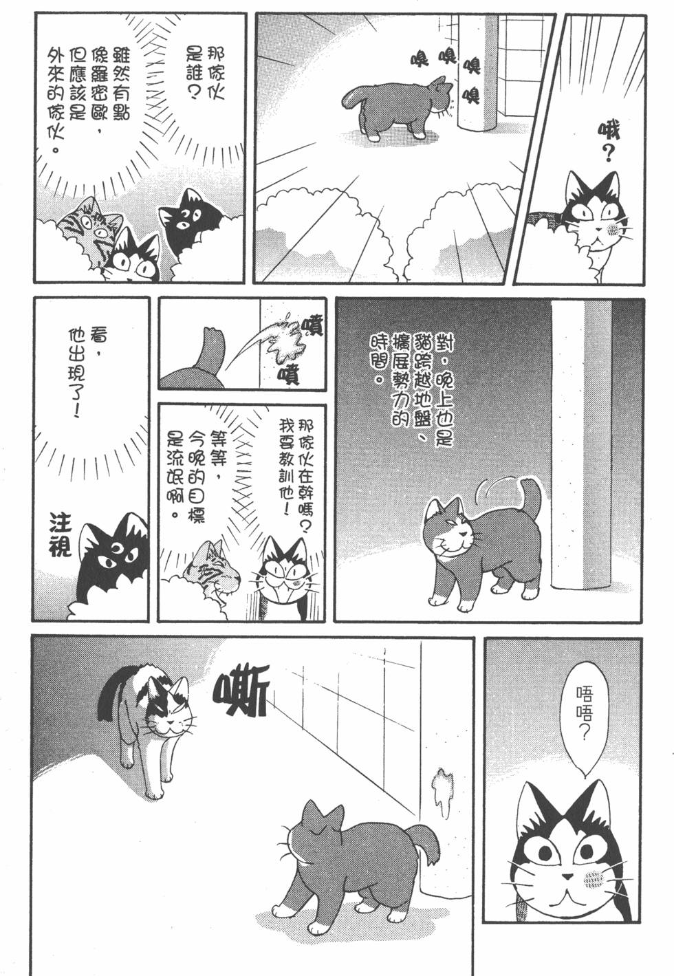 第237页