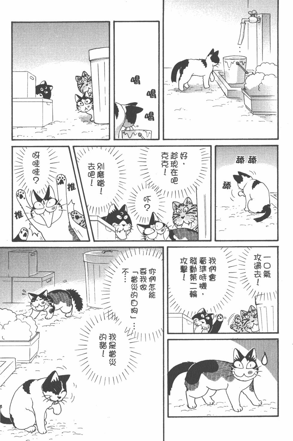 第239页