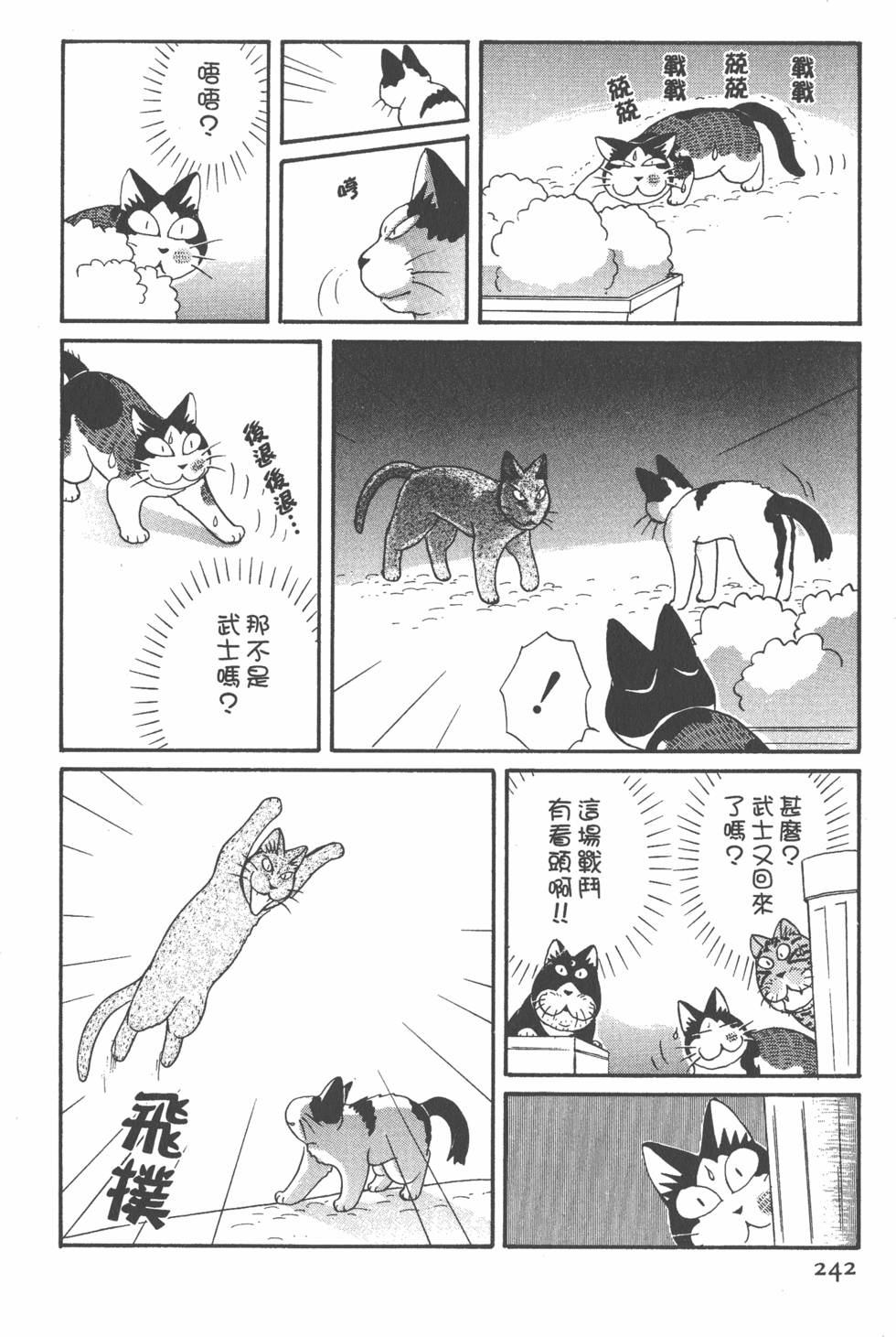 第240页