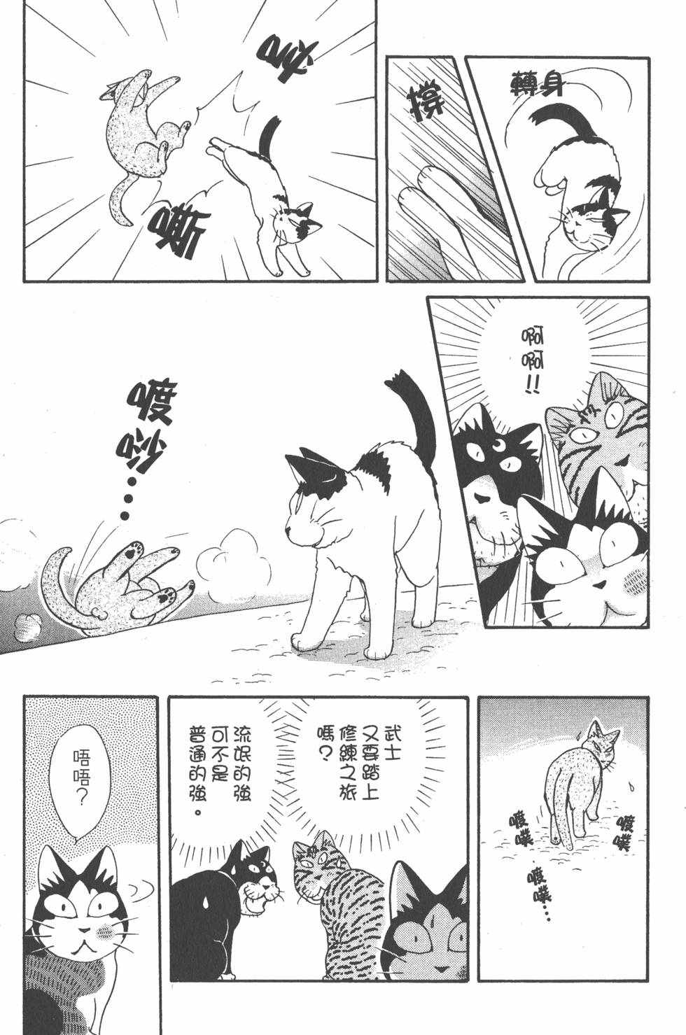 第241页