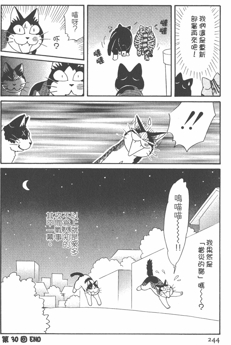第242页