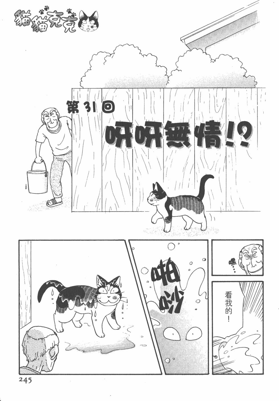 第243页