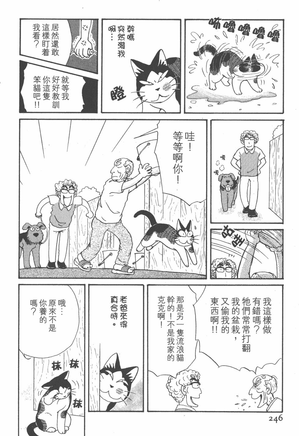 第244页