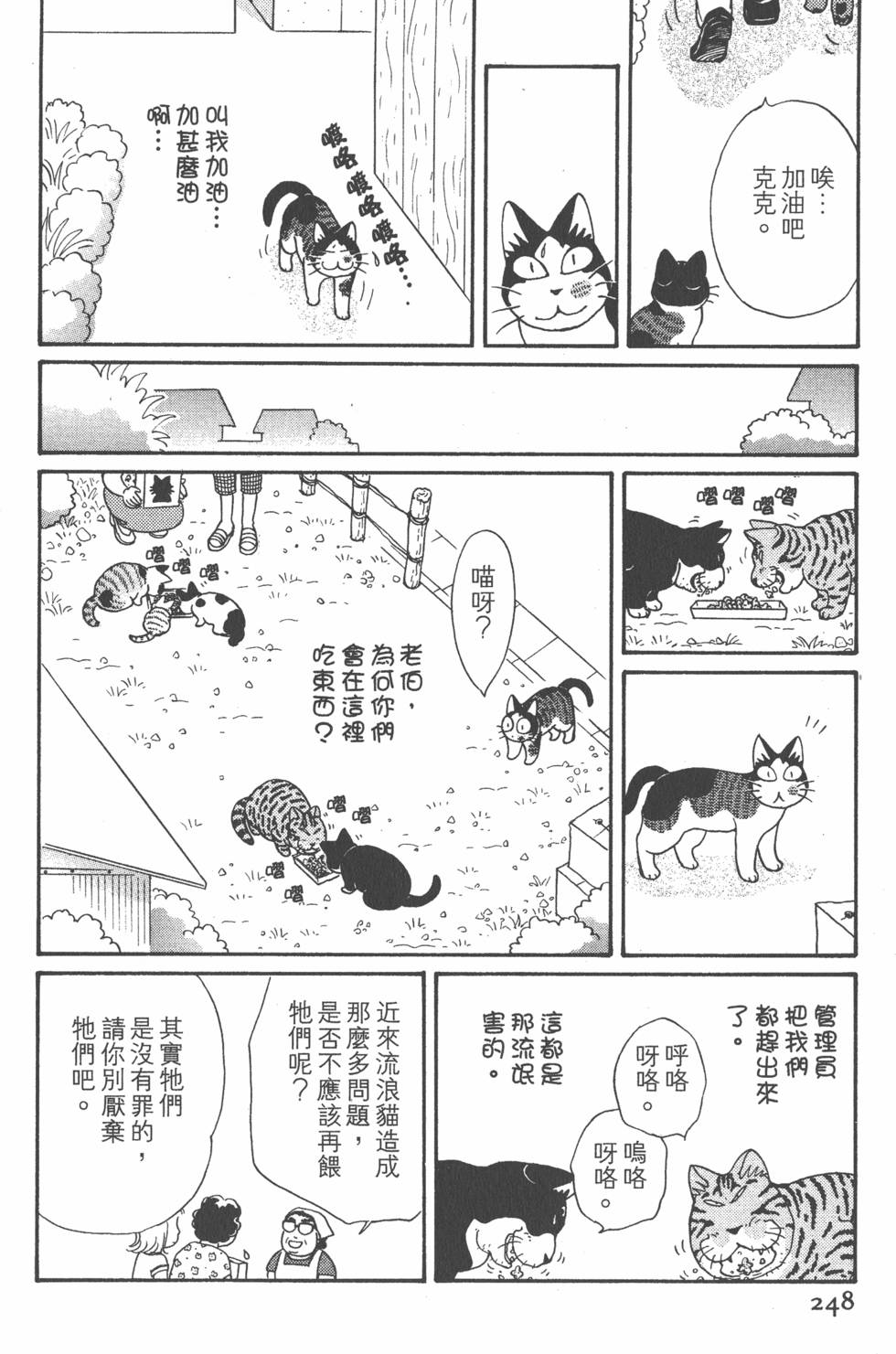 第246页