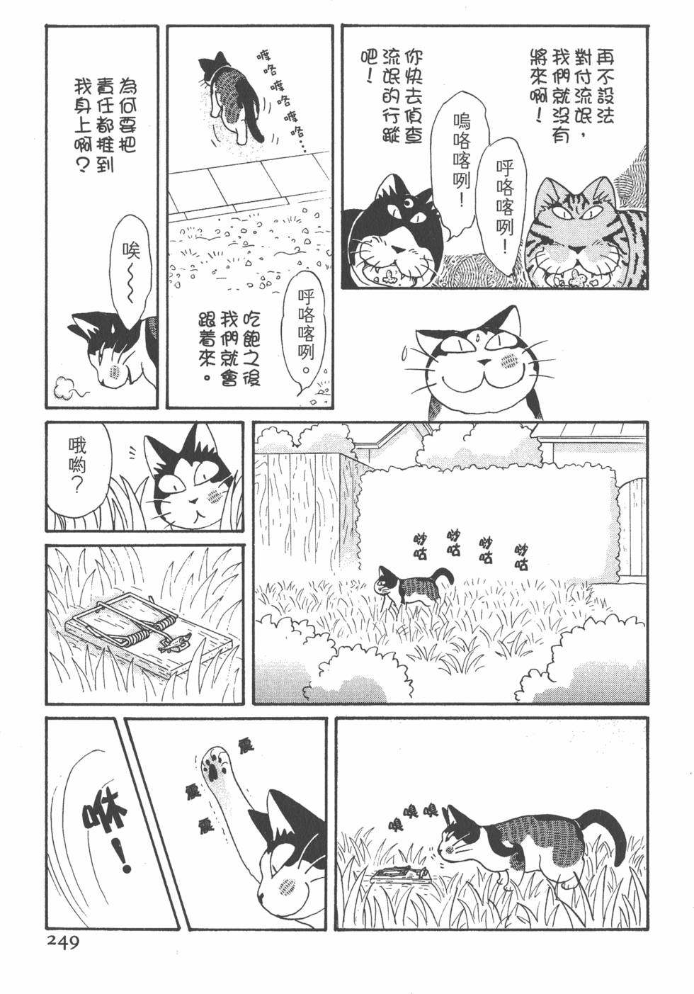 第247页