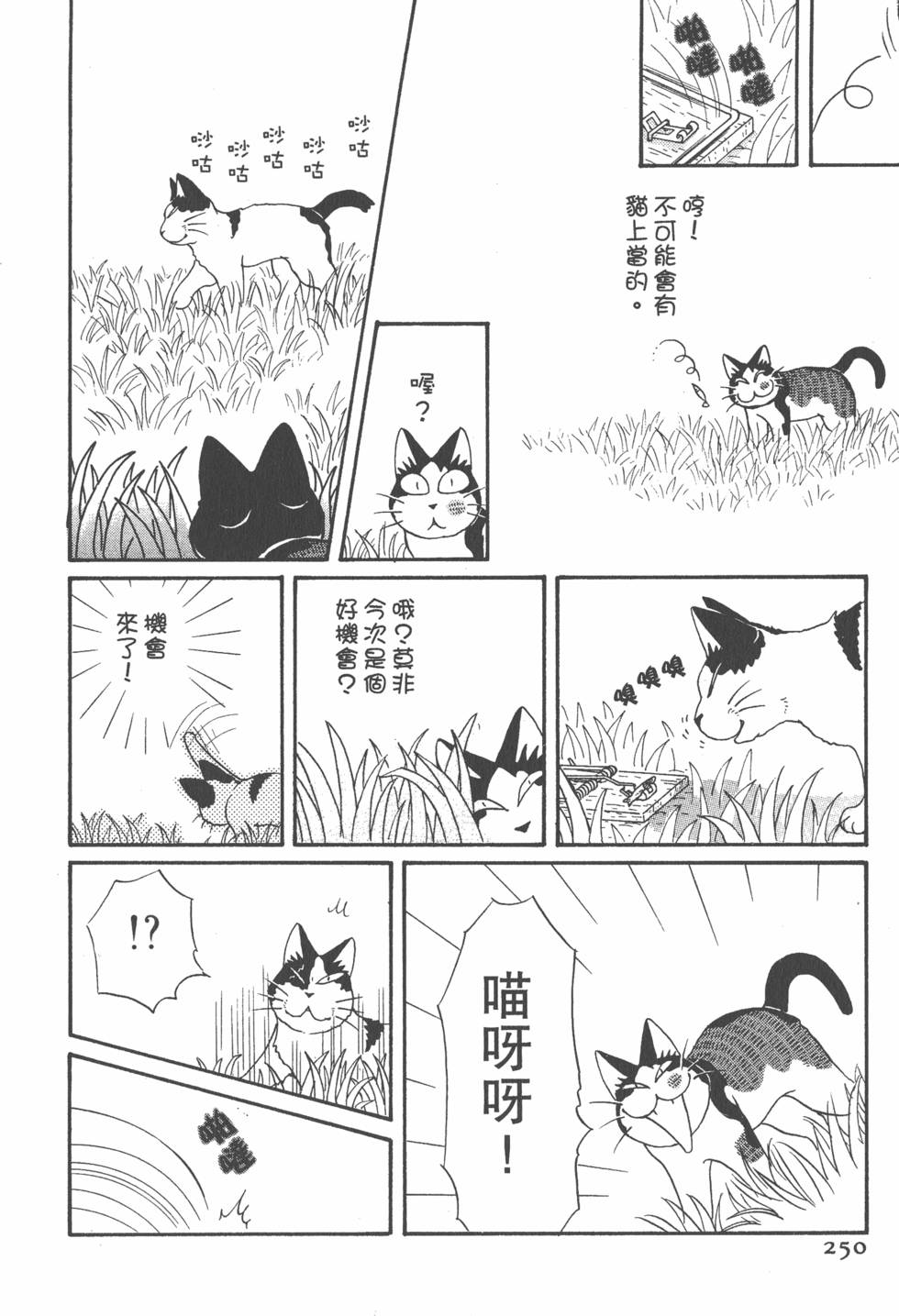 第248页