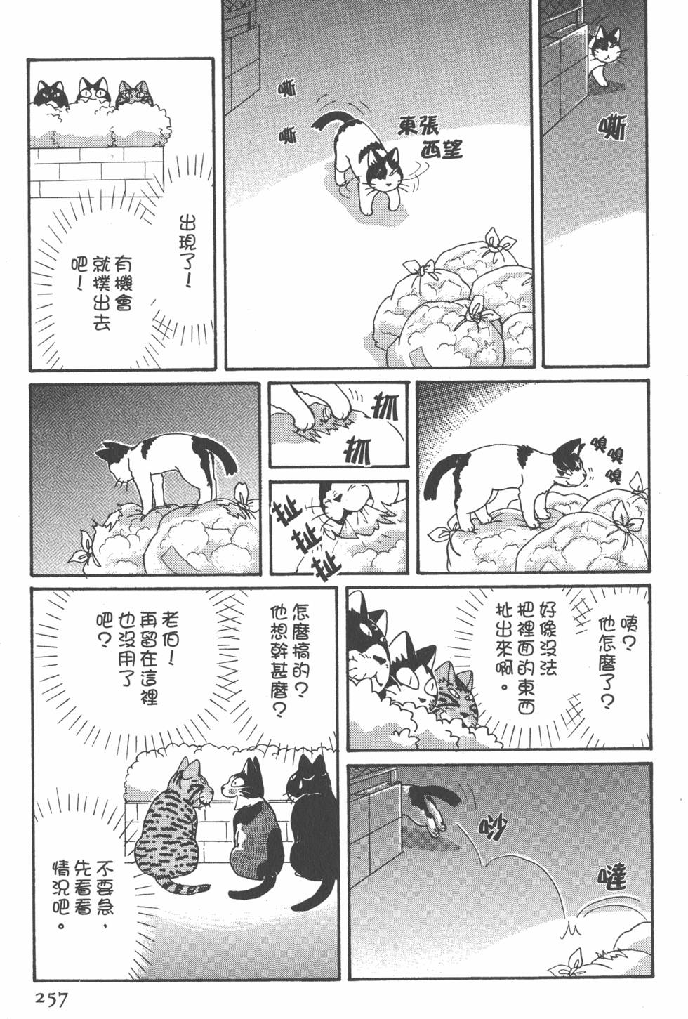 第255页