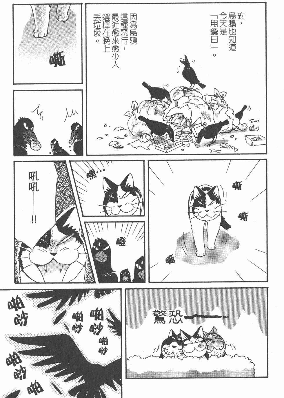 第257页