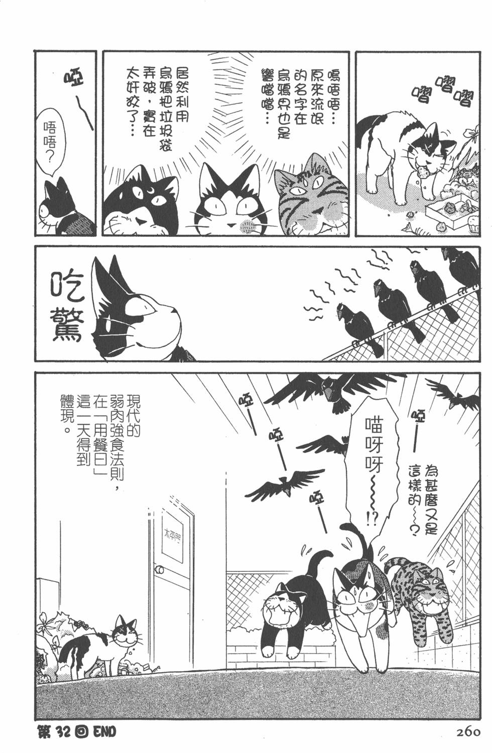 第258页
