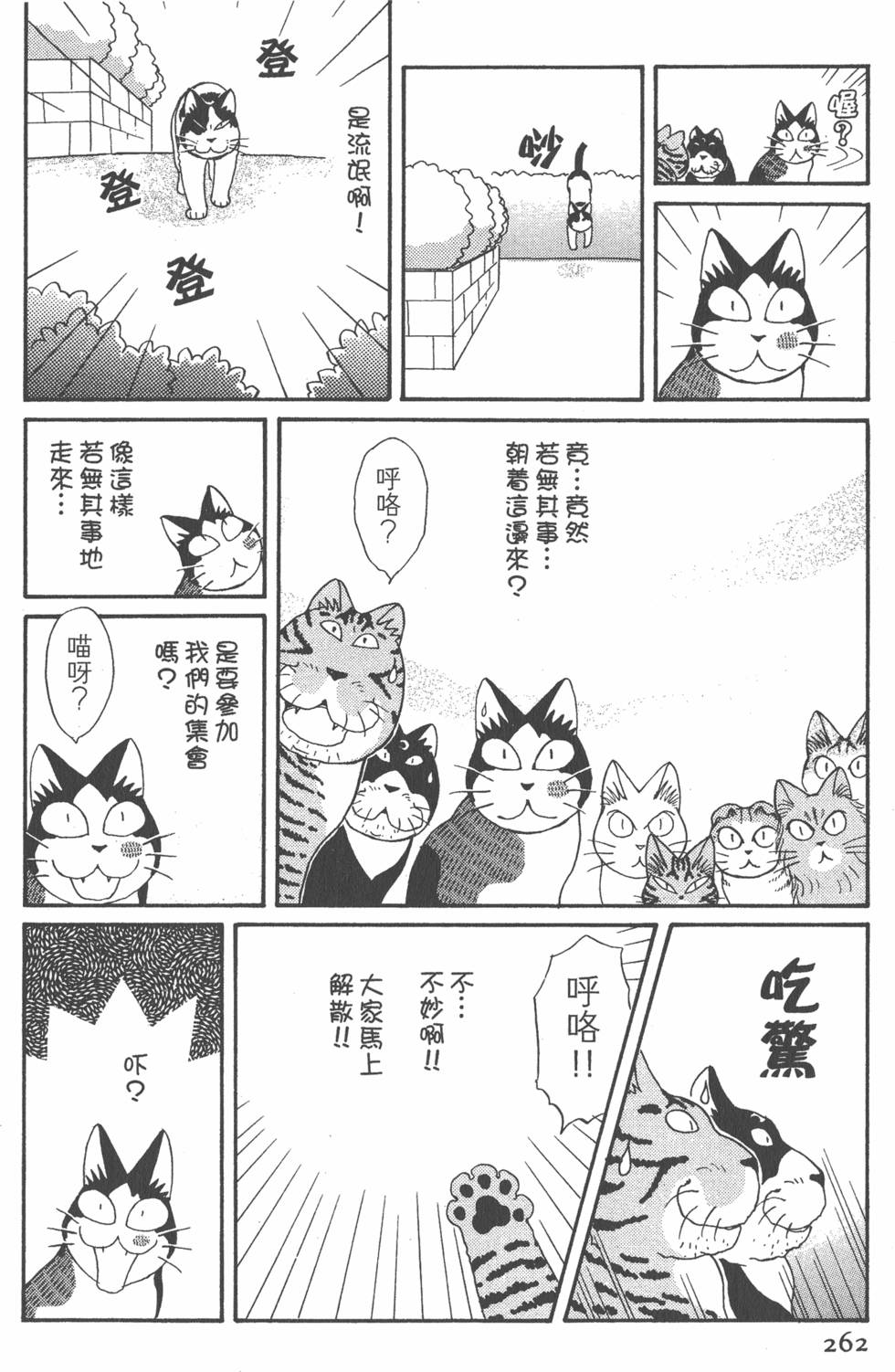 第260页