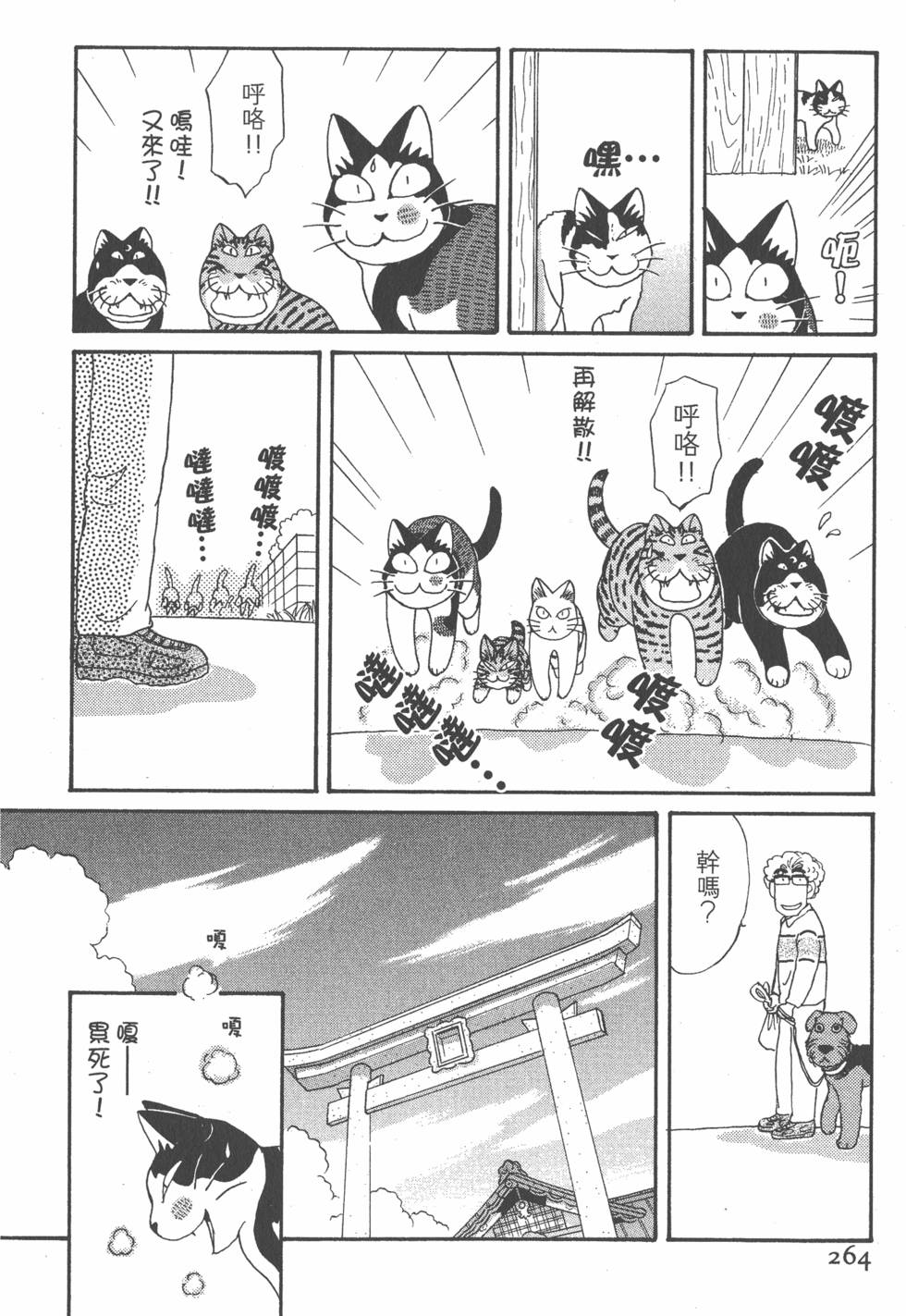 第262页