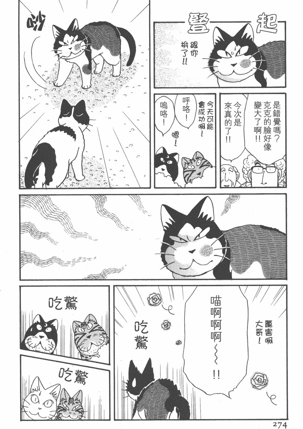 第272页