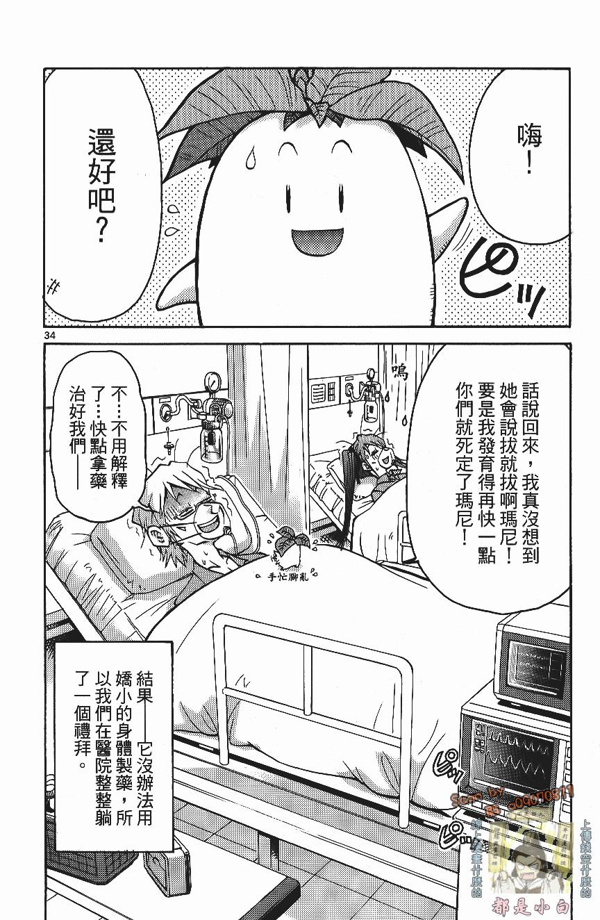 第36页