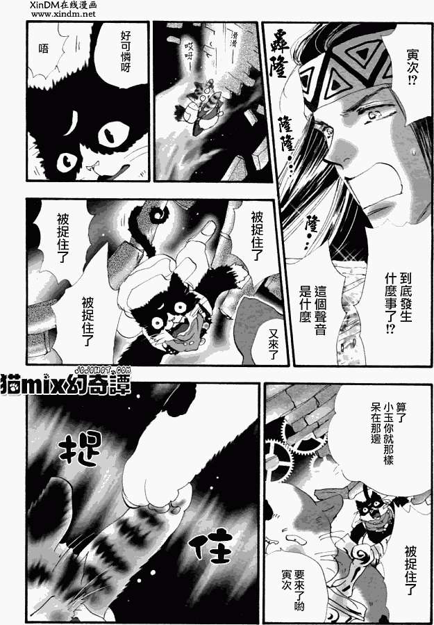 第55页