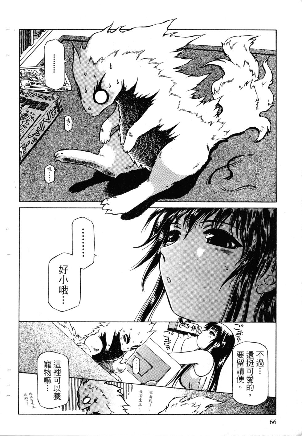 第64页