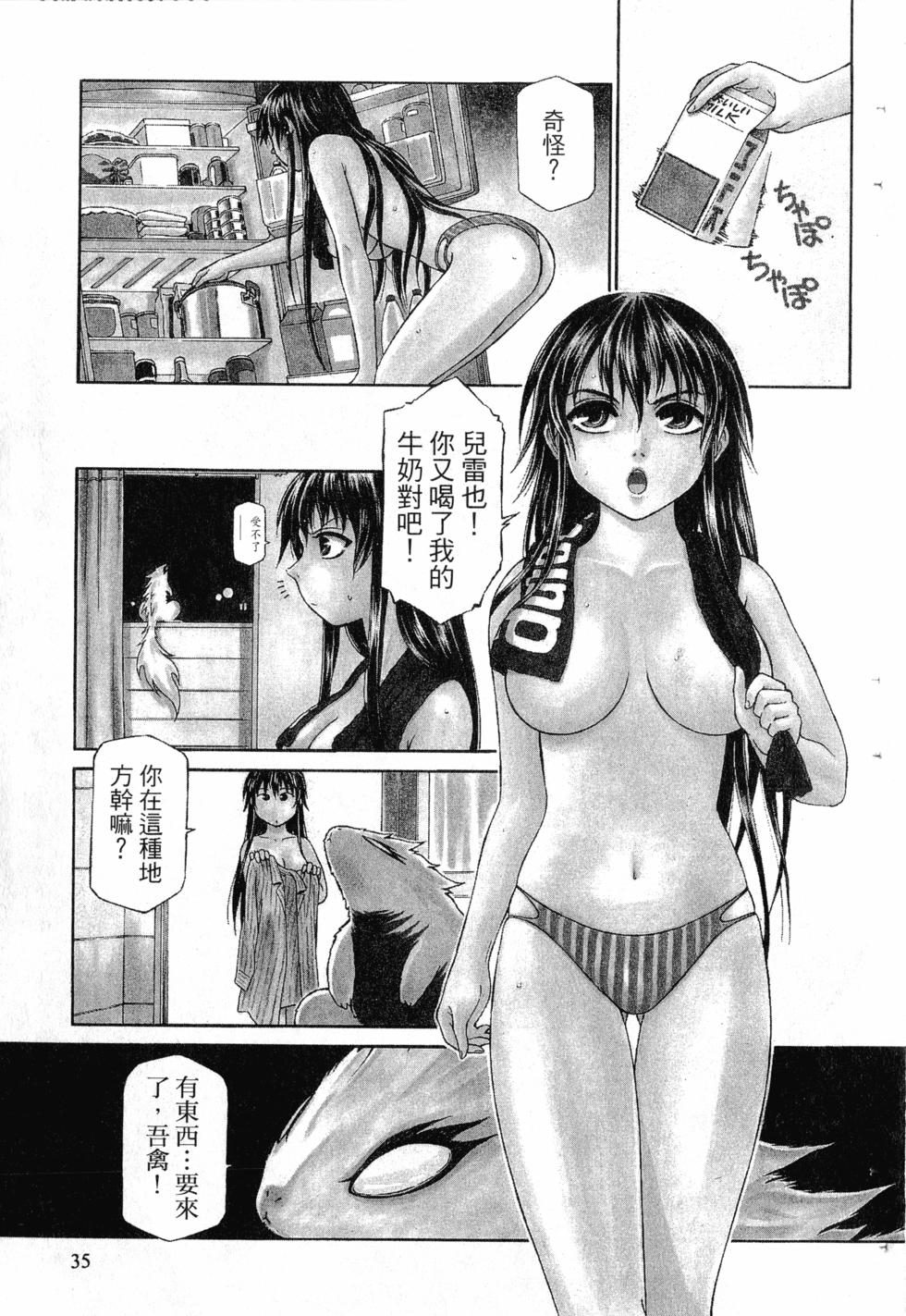 第33页