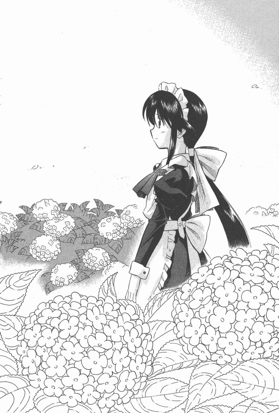 第260页