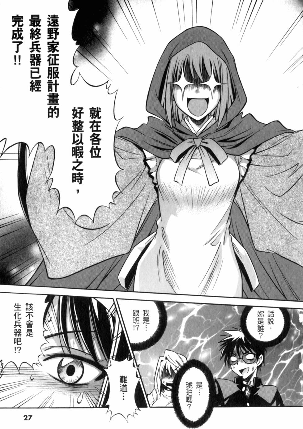 第27页