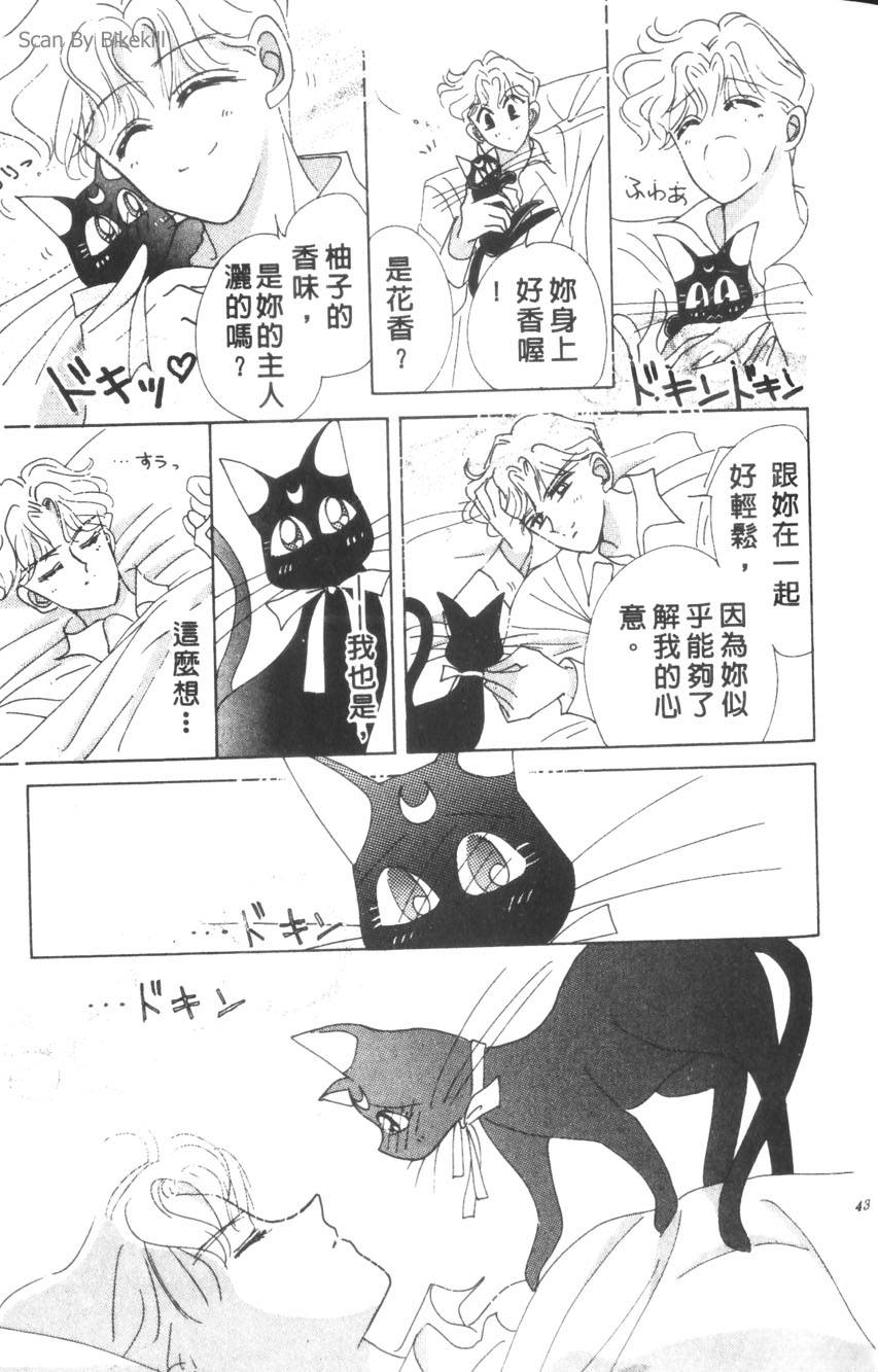 第41页