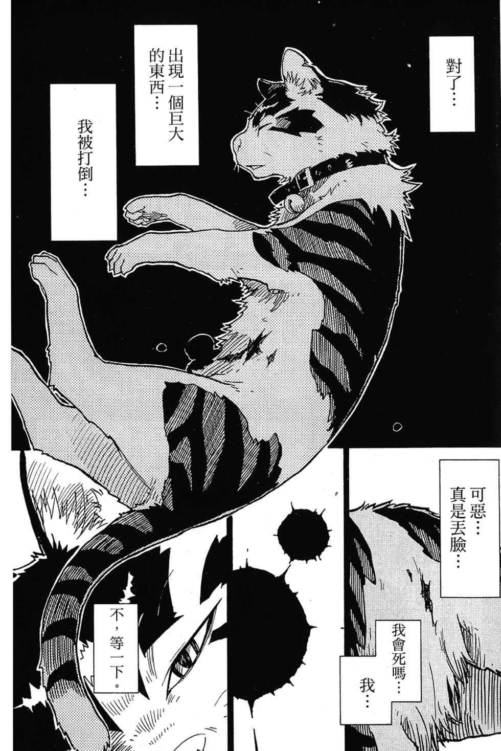 第64页