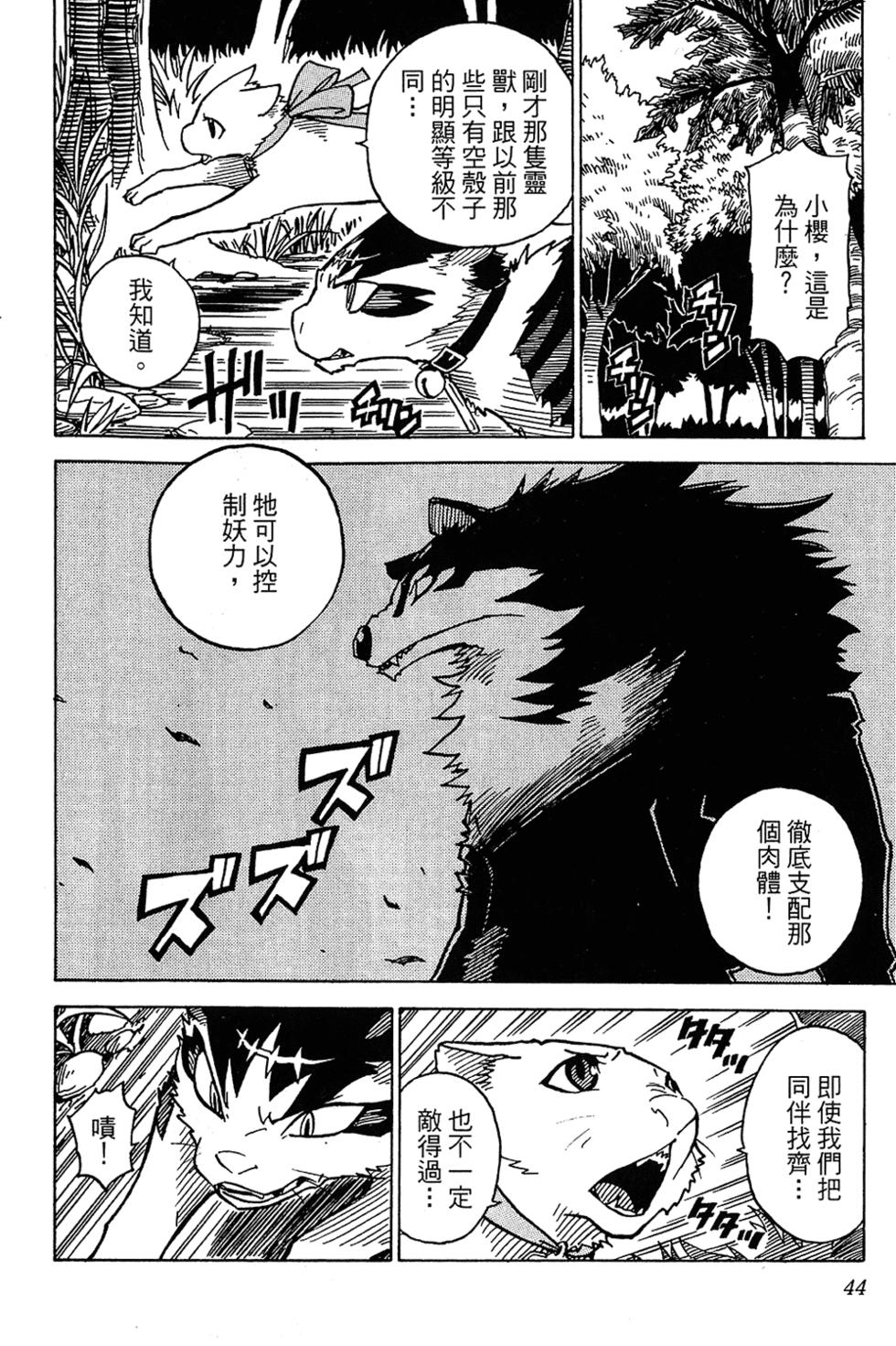 第43页