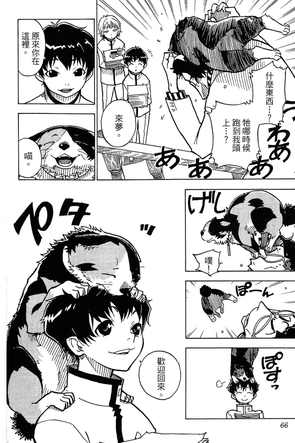 第65页