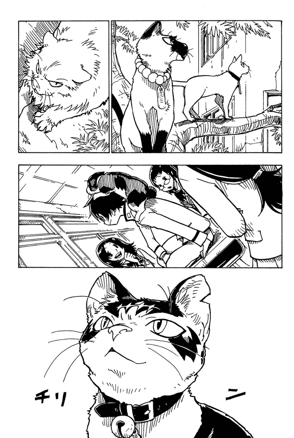 第190页