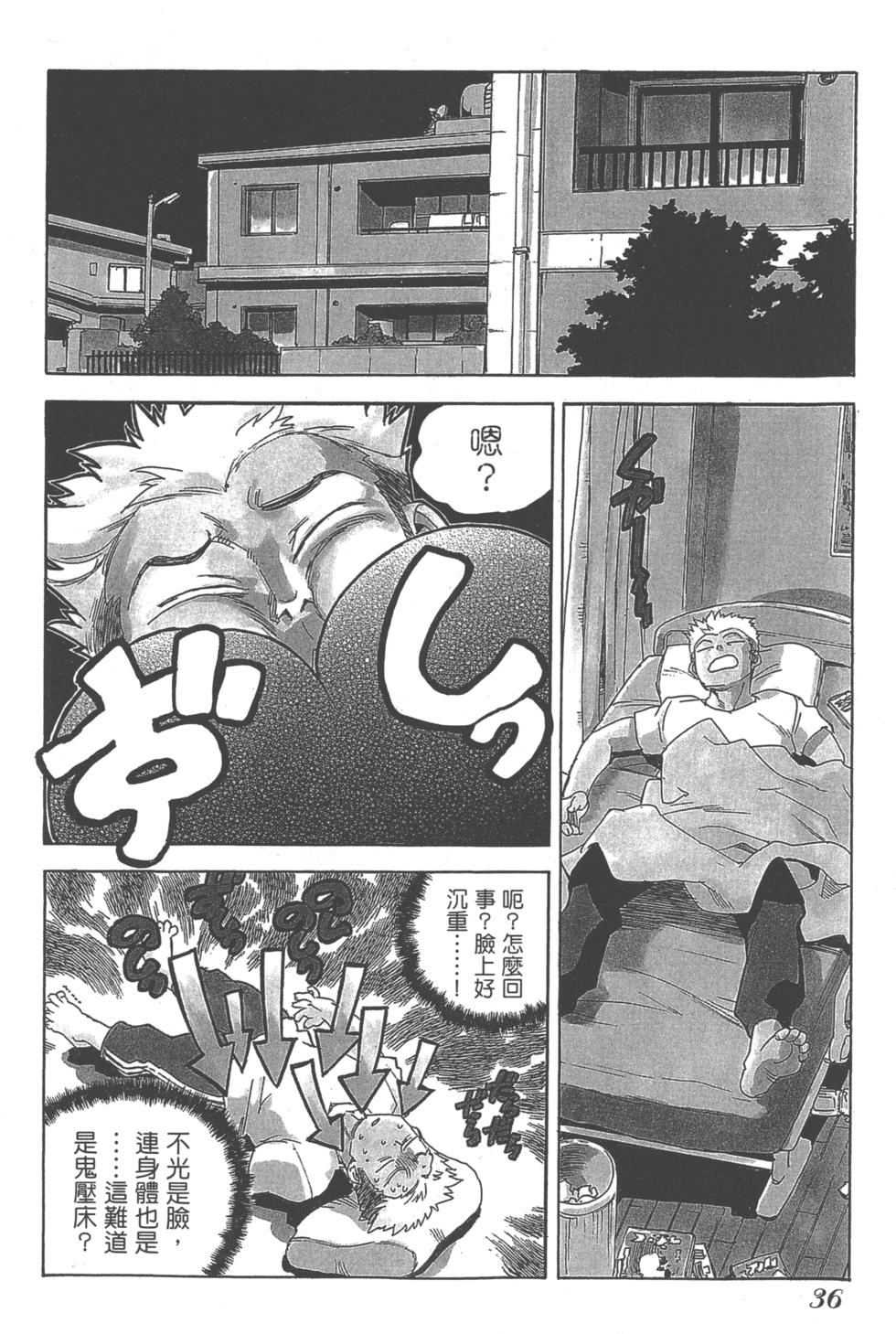 第34页