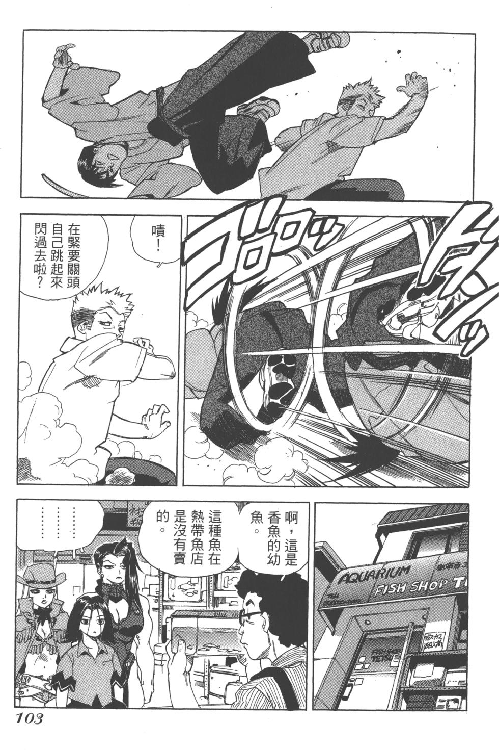 第101页