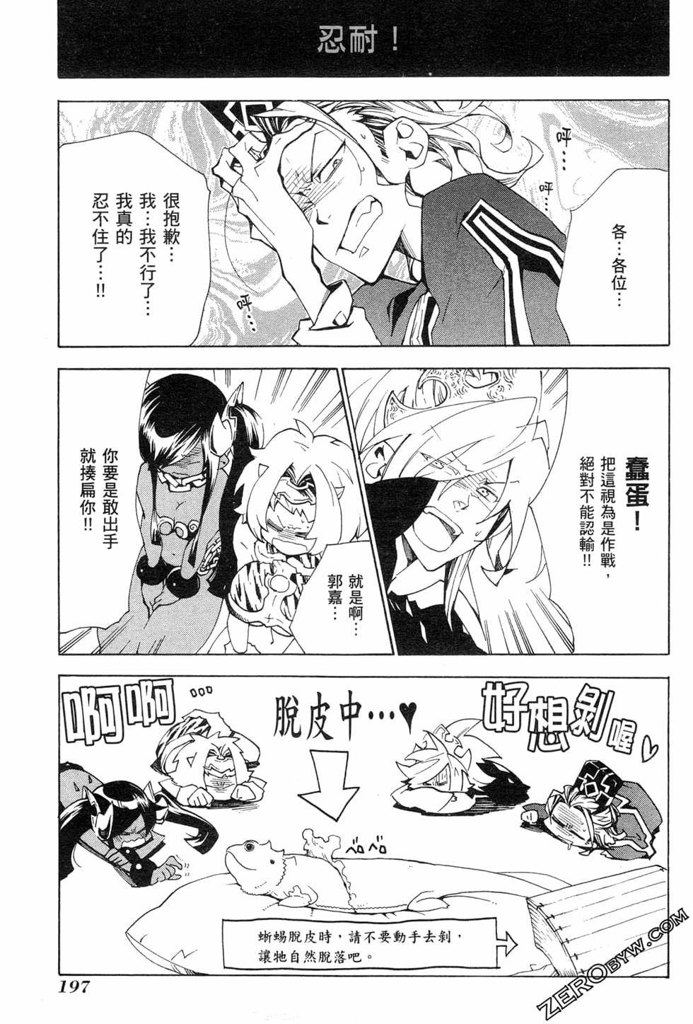 第197页