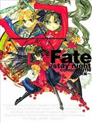 Fate/stay night comic battle血战篇
