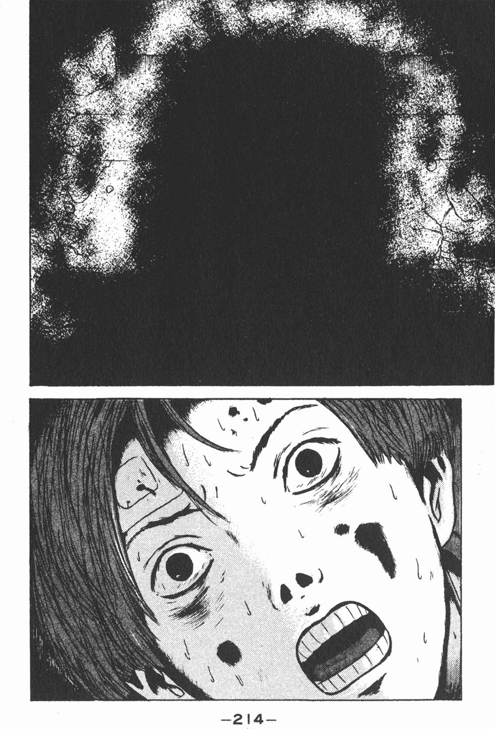 第210页