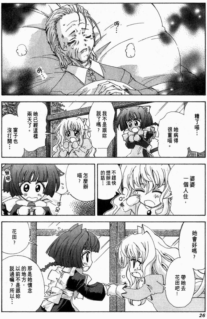 第26页