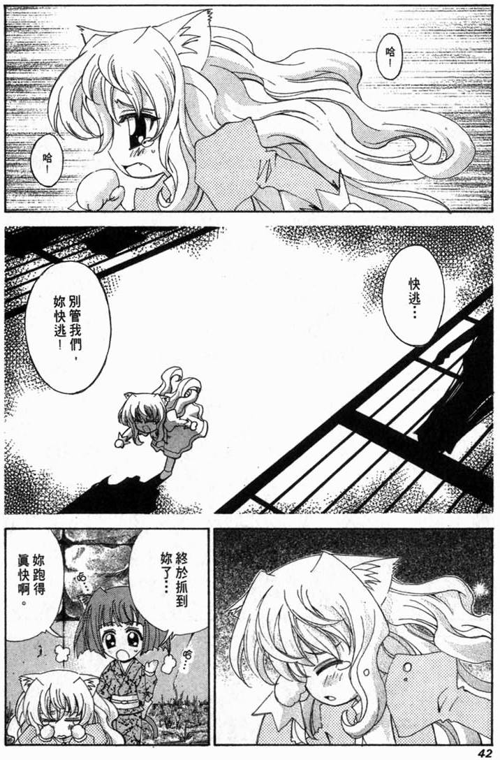 第41页
