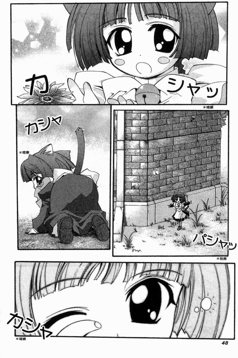 第47页