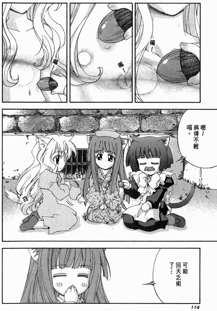 第113页