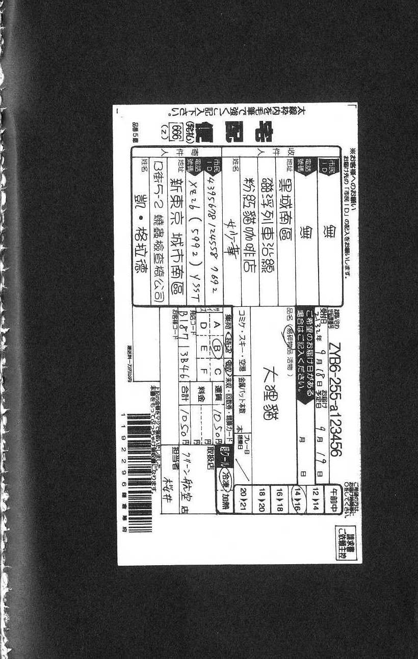 第216页