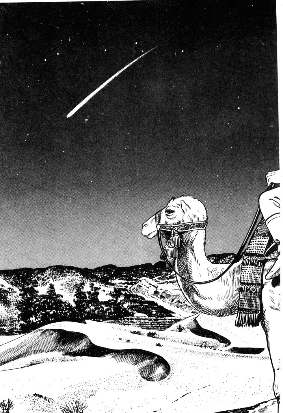 第203页