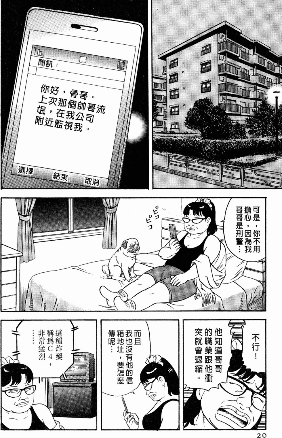 第17页